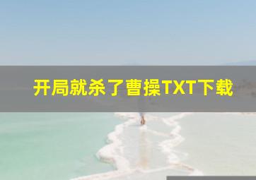 开局就杀了曹操TXT下载