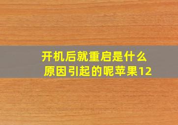 开机后就重启是什么原因引起的呢苹果12