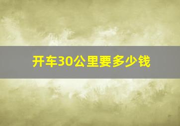 开车30公里要多少钱