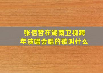 张信哲在湖南卫视跨年演唱会唱的歌叫什么