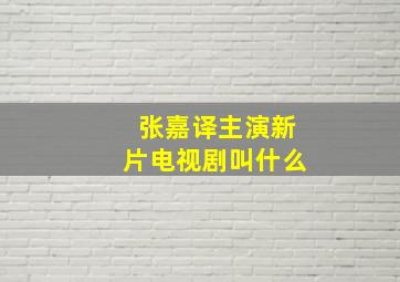 张嘉译主演新片电视剧叫什么