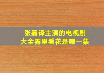 张嘉译主演的电视剧大全雾里看花是哪一集