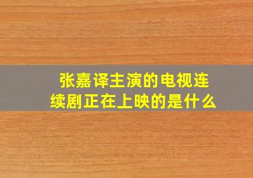 张嘉译主演的电视连续剧正在上映的是什么