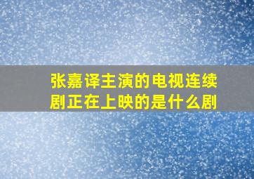 张嘉译主演的电视连续剧正在上映的是什么剧