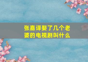 张嘉译娶了几个老婆的电视剧叫什么