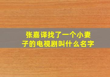 张嘉译找了一个小妻子的电视剧叫什么名字