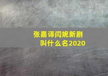 张嘉译闫妮新剧叫什么名2020