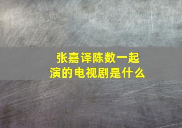 张嘉译陈数一起演的电视剧是什么