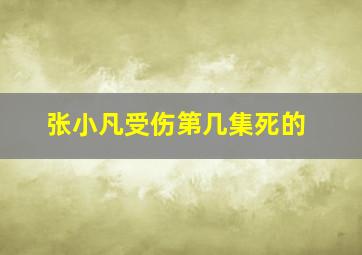 张小凡受伤第几集死的