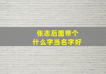 张志后面带个什么字当名字好