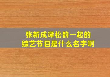 张新成谭松韵一起的综艺节目是什么名字啊