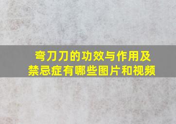 弯刀刀的功效与作用及禁忌症有哪些图片和视频