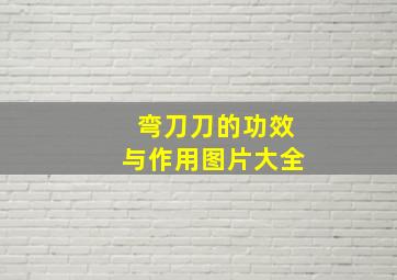 弯刀刀的功效与作用图片大全