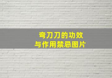 弯刀刀的功效与作用禁忌图片