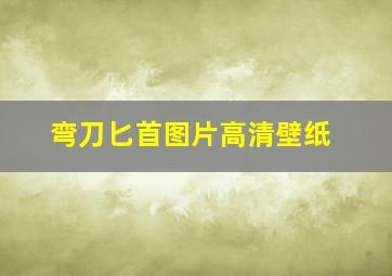 弯刀匕首图片高清壁纸