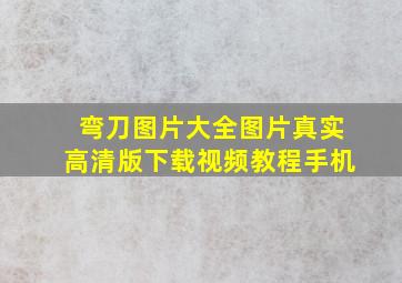 弯刀图片大全图片真实高清版下载视频教程手机