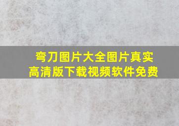 弯刀图片大全图片真实高清版下载视频软件免费