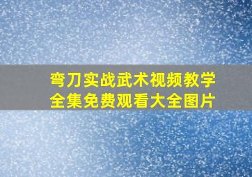 弯刀实战武术视频教学全集免费观看大全图片