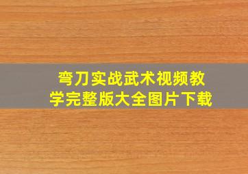 弯刀实战武术视频教学完整版大全图片下载