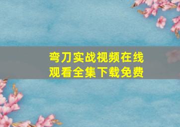 弯刀实战视频在线观看全集下载免费