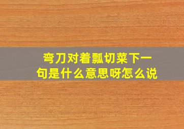 弯刀对着瓢切菜下一句是什么意思呀怎么说