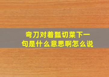 弯刀对着瓢切菜下一句是什么意思啊怎么说