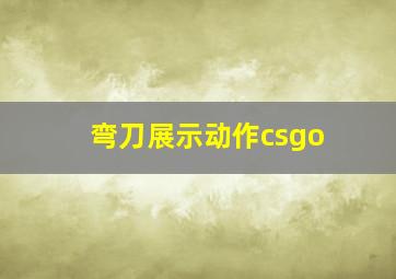 弯刀展示动作csgo