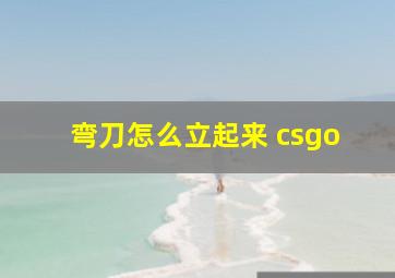 弯刀怎么立起来 csgo