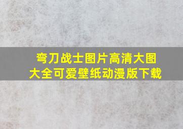 弯刀战士图片高清大图大全可爱壁纸动漫版下载