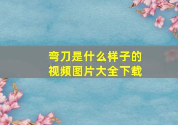 弯刀是什么样子的视频图片大全下载