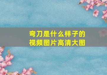 弯刀是什么样子的视频图片高清大图