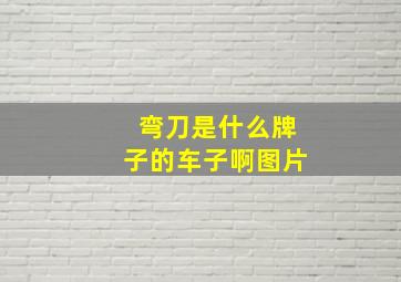 弯刀是什么牌子的车子啊图片