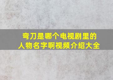 弯刀是哪个电视剧里的人物名字啊视频介绍大全