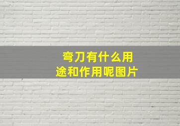 弯刀有什么用途和作用呢图片