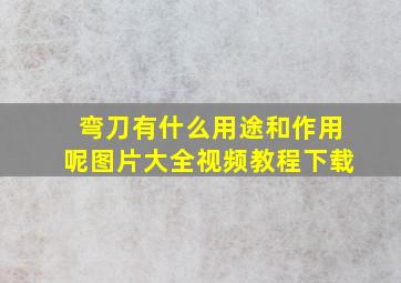 弯刀有什么用途和作用呢图片大全视频教程下载