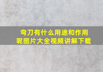 弯刀有什么用途和作用呢图片大全视频讲解下载