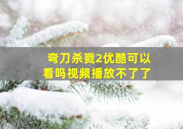 弯刀杀戮2优酷可以看吗视频播放不了了