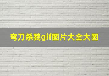 弯刀杀戮gif图片大全大图