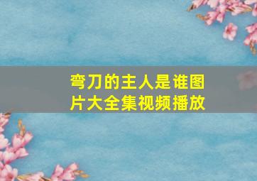 弯刀的主人是谁图片大全集视频播放