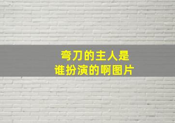 弯刀的主人是谁扮演的啊图片