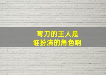 弯刀的主人是谁扮演的角色啊