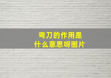 弯刀的作用是什么意思呀图片