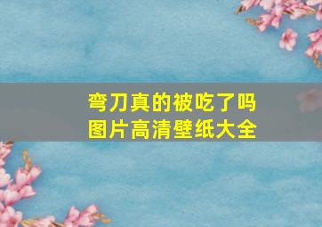 弯刀真的被吃了吗图片高清壁纸大全