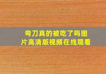 弯刀真的被吃了吗图片高清版视频在线观看