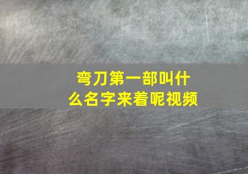 弯刀第一部叫什么名字来着呢视频