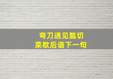 弯刀遇见瓢切菜歇后语下一句