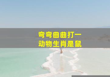 弯弯曲曲打一动物生肖是鼠