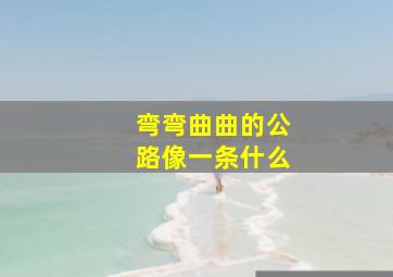 弯弯曲曲的公路像一条什么