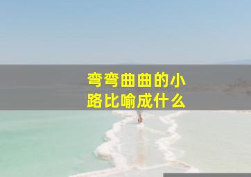 弯弯曲曲的小路比喻成什么