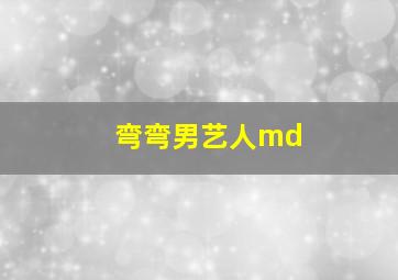 弯弯男艺人md